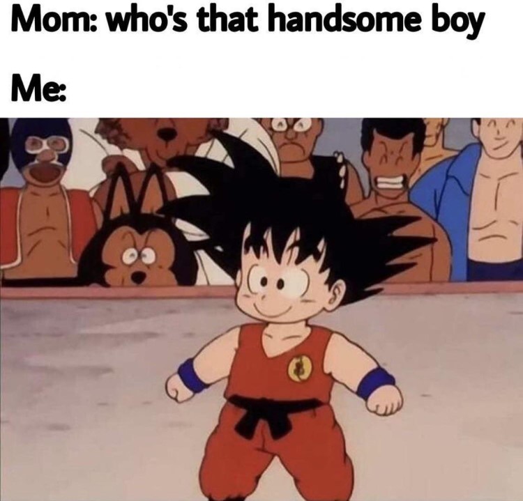 001-dragon-ball-z-whos-handsome-meme